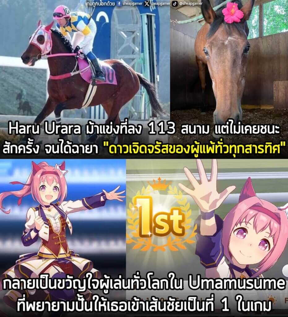 [News] Haru Urara ม้าแข่งที่ลง 113 สนาม แต่ไม่เคยชนะสักครั้ง จนได้ฉายา "ดาวเจิดจรัสของผู้แพ้ทั่วทุกสารทิศ" กลายเป็นขวัญใจผู้เล่นทั่วโลกใน Umamusume ที่พยายามปั้นให้เธอเข้าเส้นชัยเป็นที่ 1 ในเกม