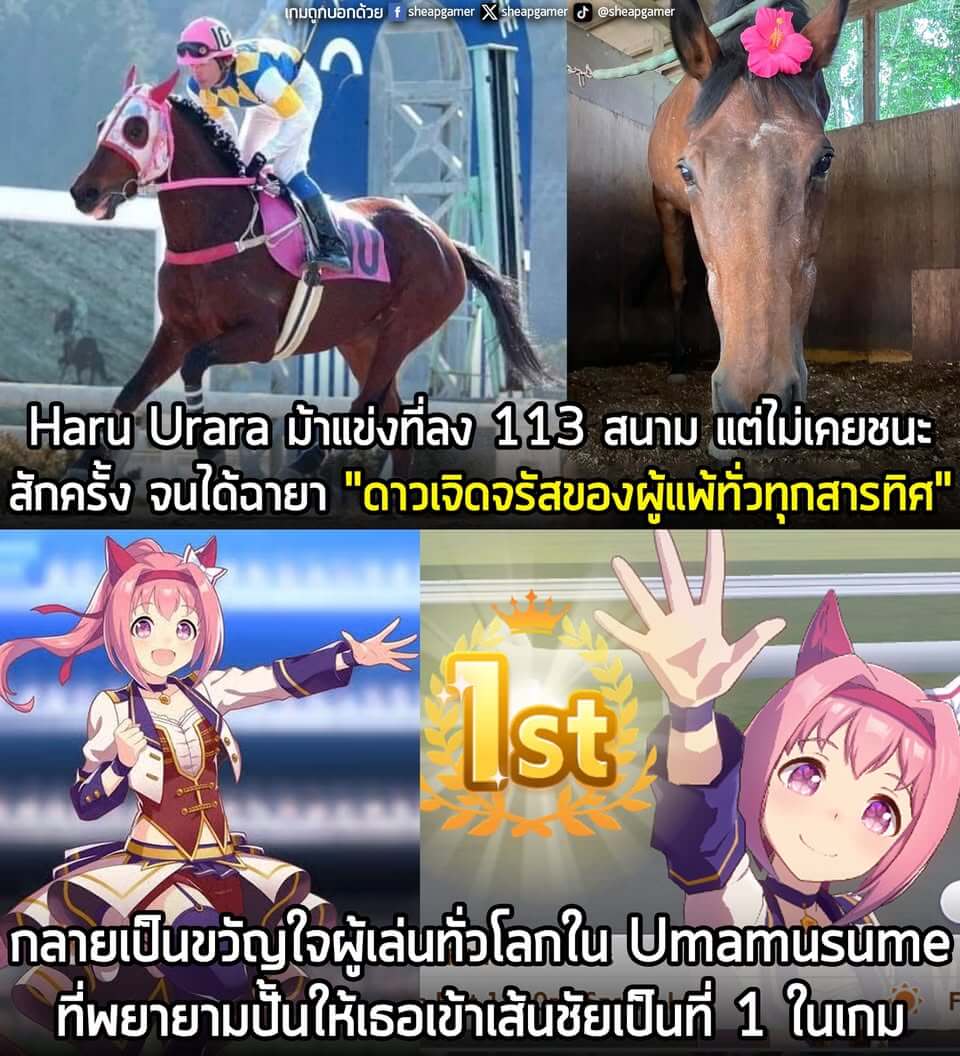[News] Haru Urara ม้าแข่งที่ลง 113 สนาม แต่ไม่เคยชนะสักครั้ง จนได้ฉายา "ดาวเจิดจรัสของผู้แพ้ทั่วทุกสารทิศ" กลายเป็นขวัญใจผู้เล่นทั่วโลกใน Umamusume ที่พยายามปั้นให้เธอเข้าเส้นชัยเป็นที่ 1 ในเกม