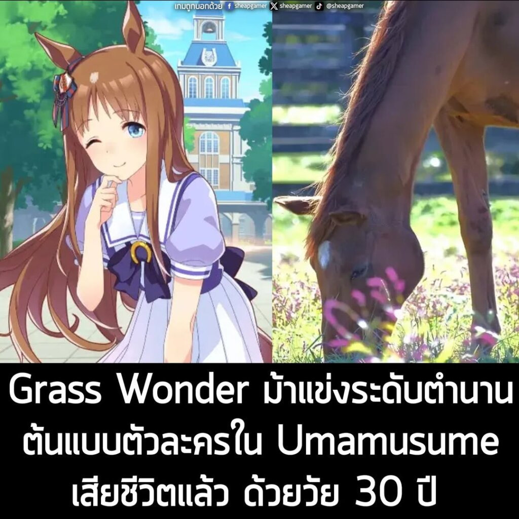 Grass Wonder ม้าแข่งระดับตำนาน ต้นแบบตัวละครใน Umamusume เสียชีวิตแล้ว ด้วยวัย 30 ปี