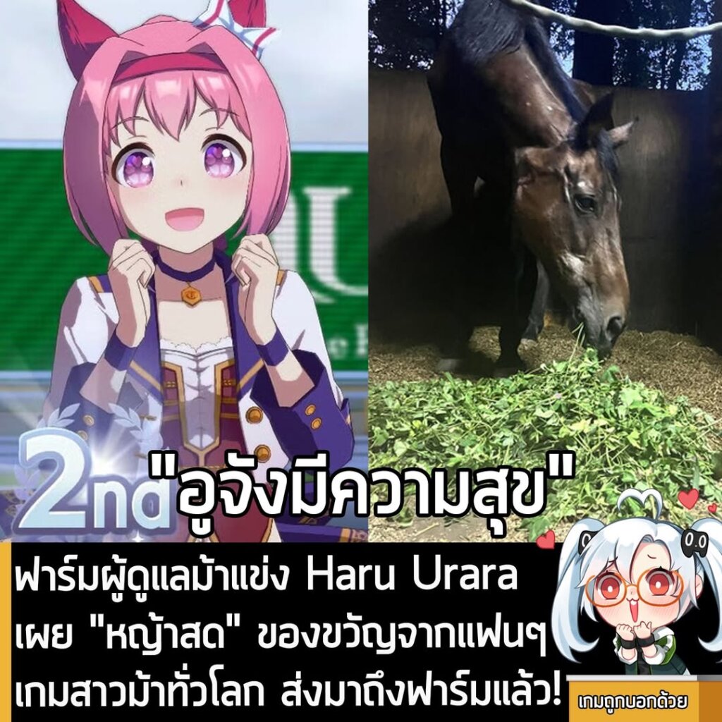 ฟาร์มผู้ดูแลม้าแข่ง Haru Urara เผย "หญ้าสด" ของขวัญจากแฟนๆ เกมสาวม้าทั่วโลก ส่งมาถึงฟาร์มแล้ว!