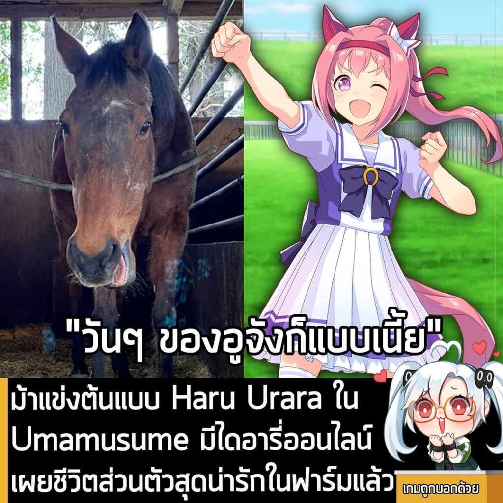 ม้าแข่งต้นแบบ Haru Urara ใน Umamusume มีไดอารี่ออนไลน์ เผยชีวิตส่วนตัวสุดน่ารักในฟาร์มแล้ว