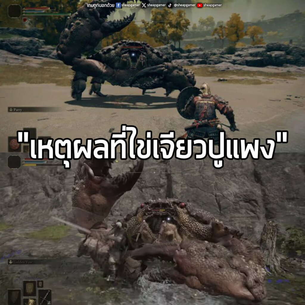 แพงเพราะต้องไปล่าถึงดินแดนมัชฌิมา