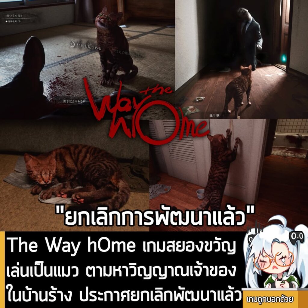 The Way hOme เกมสยองขวัญเล่นเป็นแมว ออกตามหาวิญญาณเจ้าของในบ้านร้าง ประกาศยกเลิกการพัฒนาแล้ว