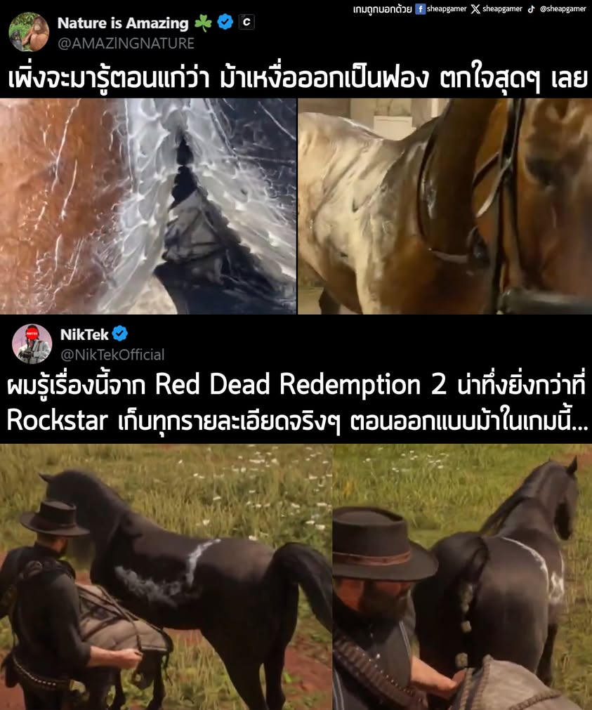 "เพิ่งจะมารู้ตอนแก่ว่า ม้าเหงื่อออกเป็นฟอง ตกใจสุดๆ เลย"