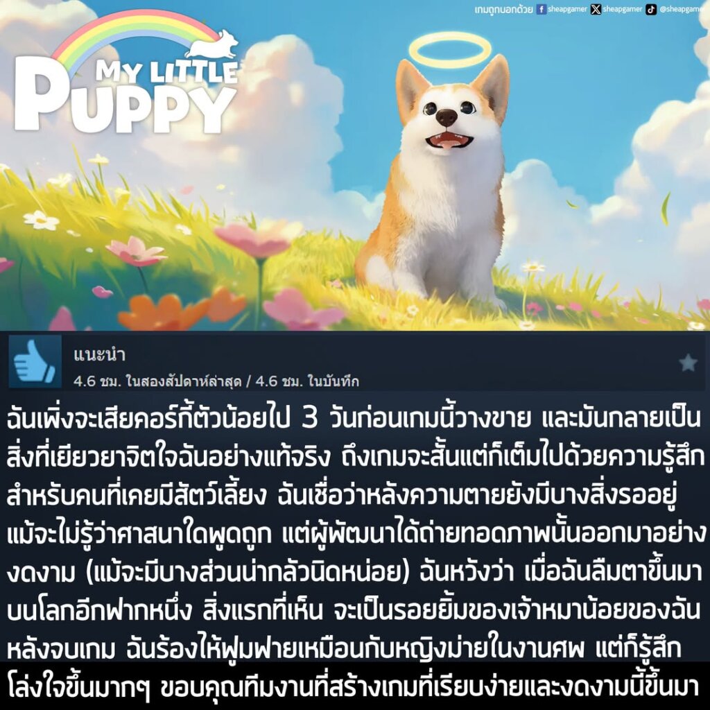 "ฉันเพิ่งจะเสียเจ้าคอร์กี้ตัวน้อยไปเมื่อ 3 วันก่อนที่เกมนี้จะวางขาย ฉันรู้เลยว่าเกมนี้มันเติมเต็มชีวิตฉัน ถึงเกมจะสั้นแต่ก็เต็มไปด้วยความรู้สึกสำหรับคนที่เคยมีสัตว์เลี้ยง และเป็นเหมือนเครื่องเยียวยาจิตใจสำหรับคนที่กำลังผ่านช่วงเวลาแห่งการสูญเสียลูกสุนัขของตัวเอง ฉันเป็นคนที่เชื่อว่ามีอะไรบางอย่างรอเราอยู่หลังความตาย ฉันก็ไม่รู้ว่าศาสนาใดพูดถูก แต่ผู้พัฒนาเกมนี้ ถ่ายทอดภาพของโลกหลังความตายออกมาได้อย่างงดงาม (แม้จะมีบางส่วนน่ากลัวนิดหน่อย) ฉันได้แต่หวังว่า เมื่อฉันลืมตาขึ้นมาบนโลกอีกฟากหนึ่ง สิ่งแรกที่ฉันจะได้เห็นก็คือ ใบหน้าที่เปี่ยมไปด้วยความสุขของน้องหมาที่ฉันเคยสูญเสียไป หลังเล่นเกมนี้จบ ฉันร้องไห้ฟูมฟายแทบขาดใจเหมือนกับหญิงม่ายในงานศพ แต่ก็โล่งใจขึ้นมากๆ ขอบคุณทีมงานที่สร้างเกมที่เรียบง่ายและงดงามนี้ขึ้นมา"