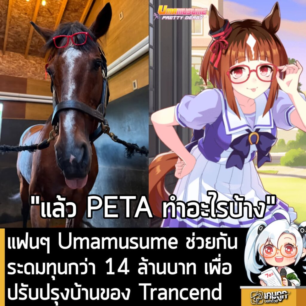 แฟน Umamusume ระดมทุนกว่า 14 ล้านบาท ช่วยปรับปรุงบ้านพักหลังเกษียณของ Transcend