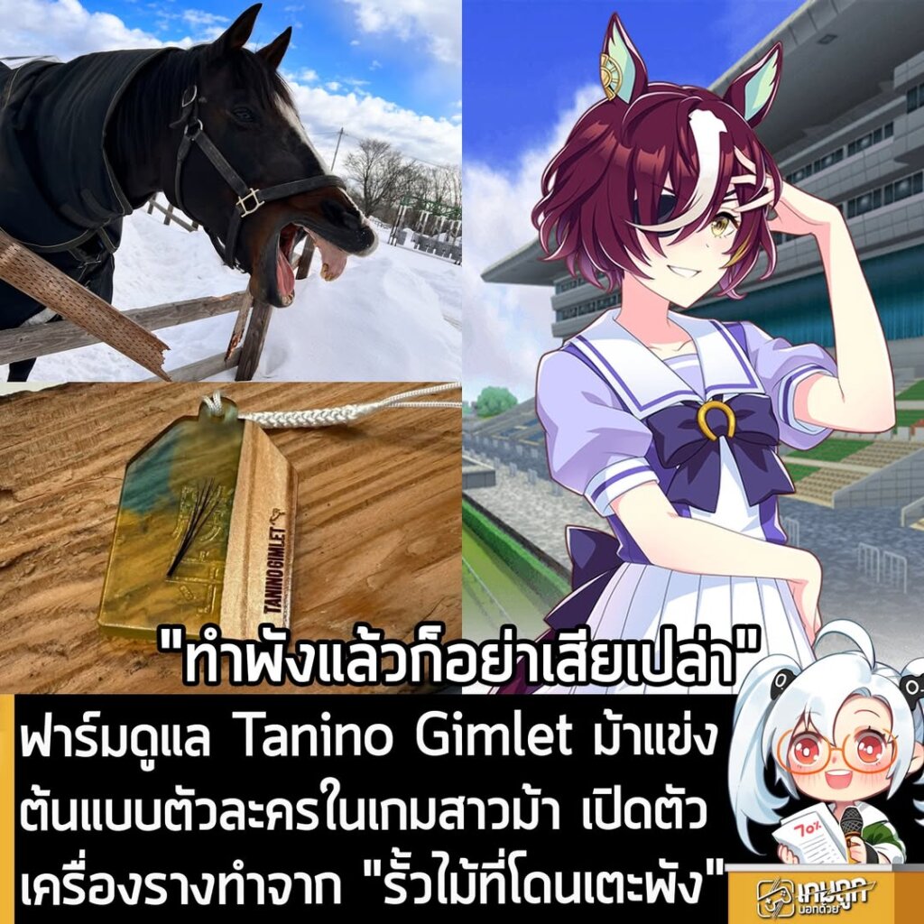ฟาร์มดูแล Tanino Gimlet ม้าแข่งต้นแบบตัวละครในเกมสาวม้า เปิดตัวเครื่องรางทำจาก "รั้วไม้ที่โดนเตะพัง"