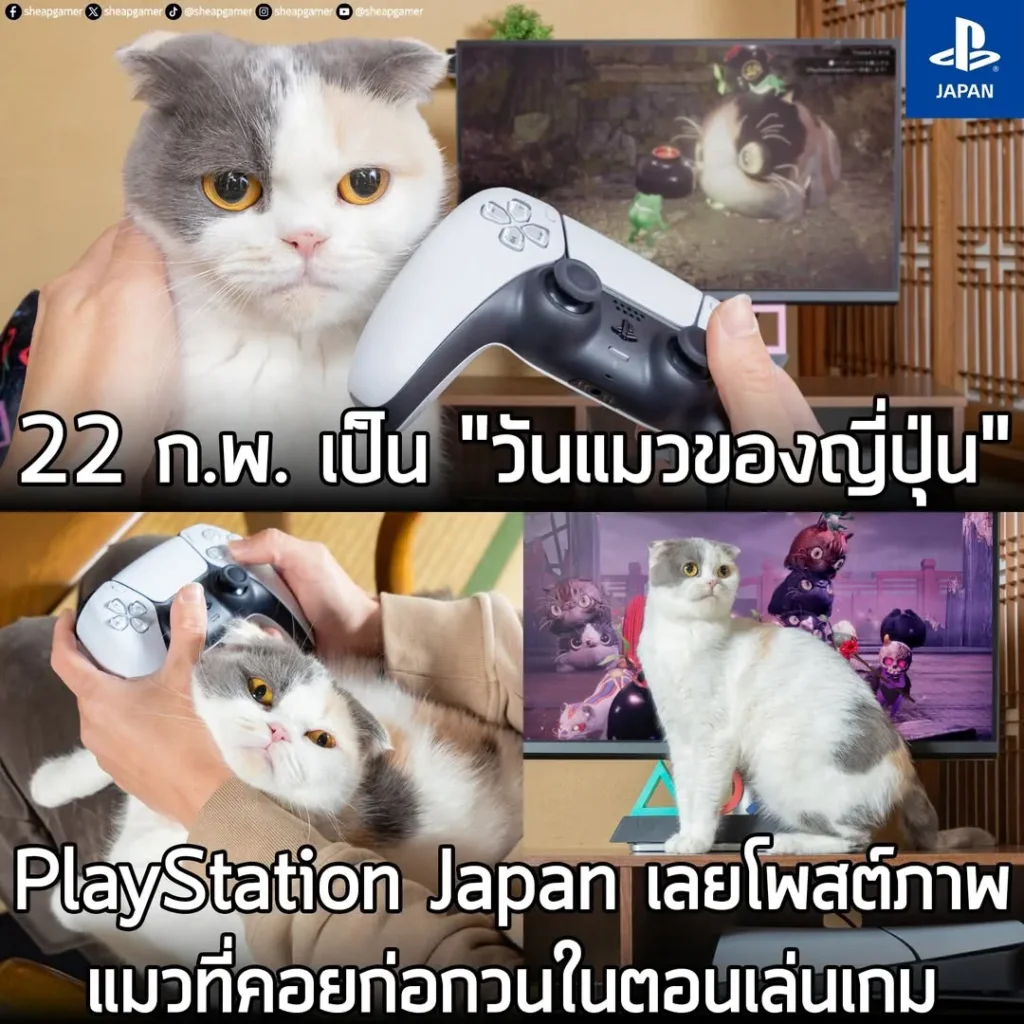 22 ก.พ. หรือก็คือวันนี้ คือ Neko No Hi หรือ "วันแมวญี่ปุ่น" (เพราะ 2 ในภาษาญี่ปุ่นคือ Ni วันที่ 22 เดือน 2 ก็คือ Ni Ni
