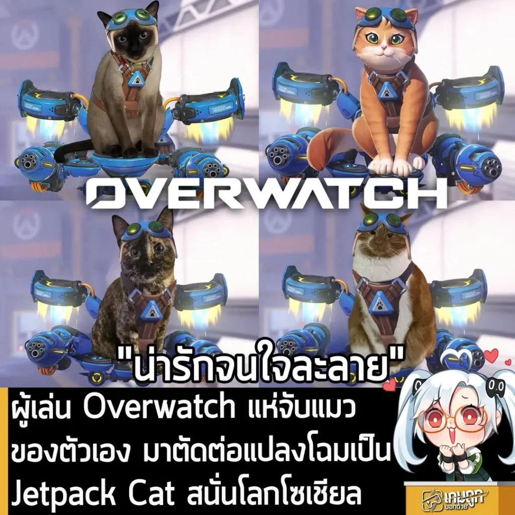ผู้เล่น Overwatch แห่จับแมวของตัวเอง มาตัดต่อแปลงโฉมเป็น Jetpack Cat สนั่นโลกโซเชียล