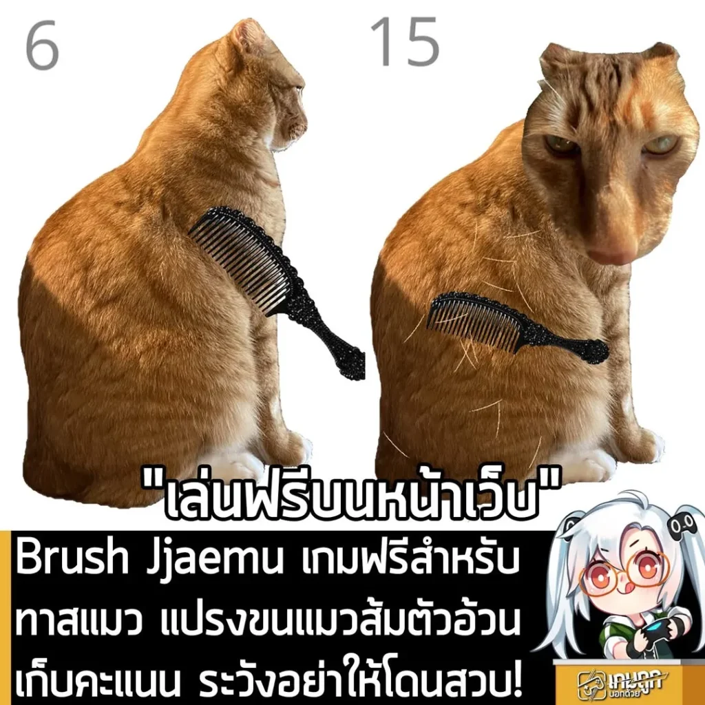Brush Jjaemu เกมฟรีสำหรับทาสแมว แปรงขนแมวส้มตัวอ้วน เก็บคะแนน ระวังอย่าให้โดนสวบ!