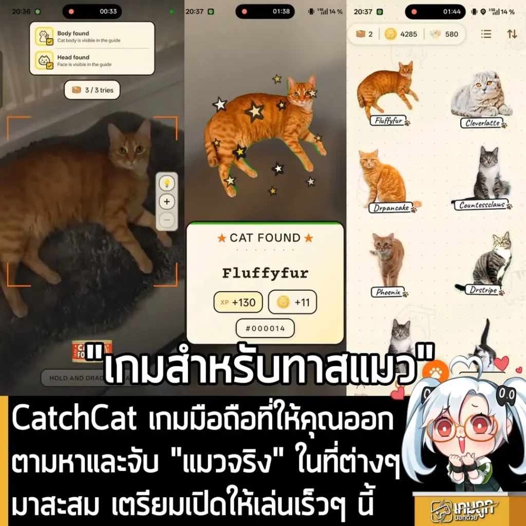 CatchCat เกมมือถือที่ให้คุณออกตามหาและจับ "แมวจริง" ในที่ต่างๆ มาสะสม เตรียมเปิดให้เล่นเร็วๆ นี้