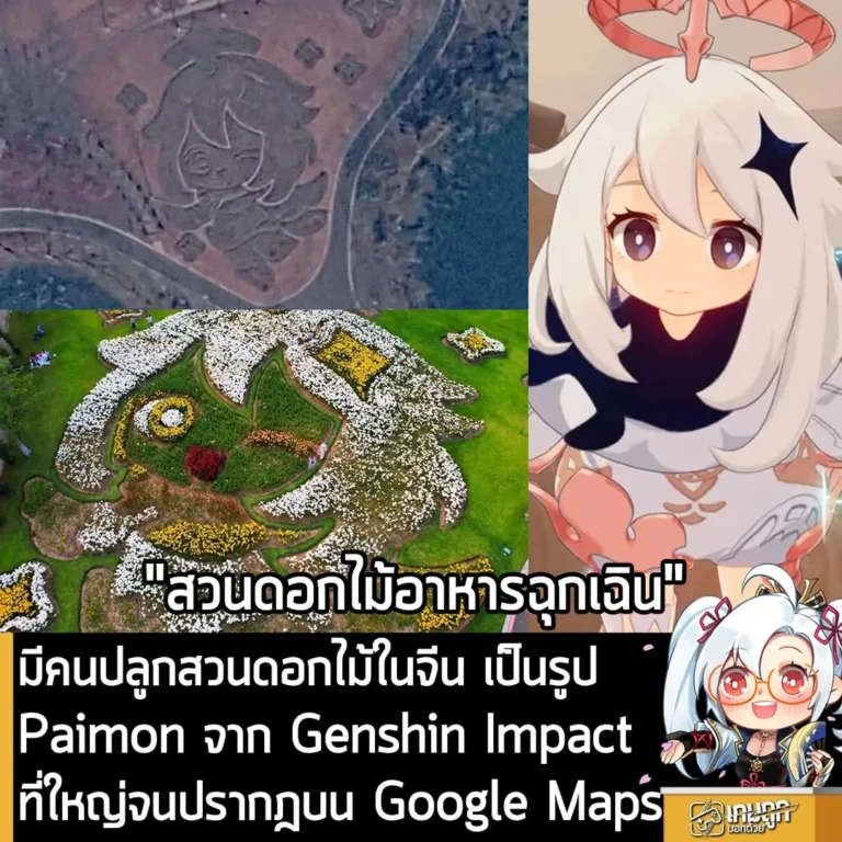 มีคนปลูกสวนดอกไม้ในจีน เป็นรูป Paimon จาก Genshin Impact ที่ใหญ่จนปรากฎบน Google Maps