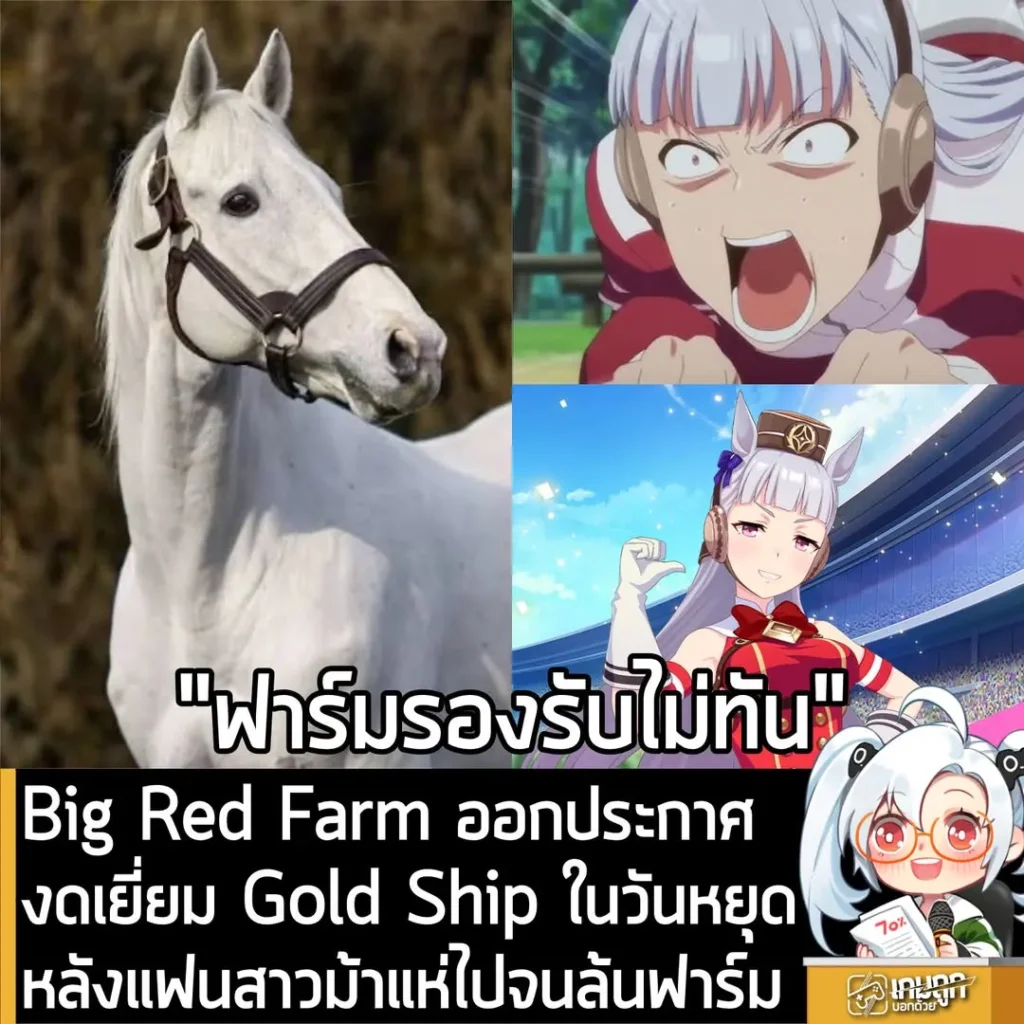 Big Red Farm ออกประกาศงดเยี่ยม Gold Ship ในวันหยุดหลังแฟนสาวม้าแห่ไปจนล้นฟาร์ม